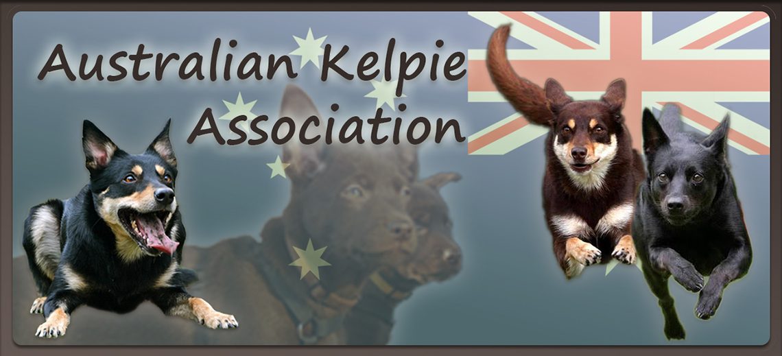 Australian Kelpie Association